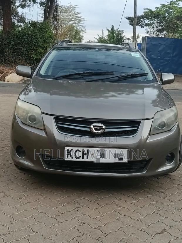 Toyota Corolla Fielder 2010 Gray