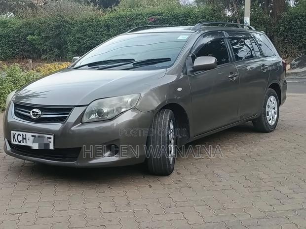 Toyota Corolla Fielder 2010 Gray