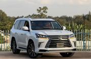 Lexus LX 570 AWD 2019 Pearl for sale