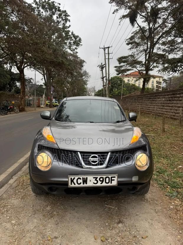 Nissan Juke 2012 Silver