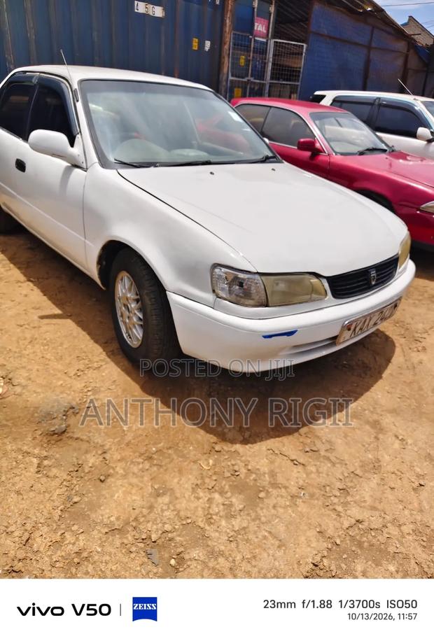 Toyota Corolla Sedan 1999 White