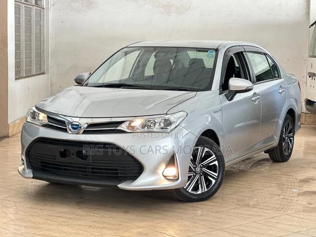 Toyota Axio 2019 Silver