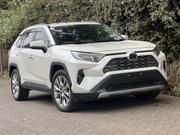 Toyota RAV4 Limited FWD 2019 White for sale