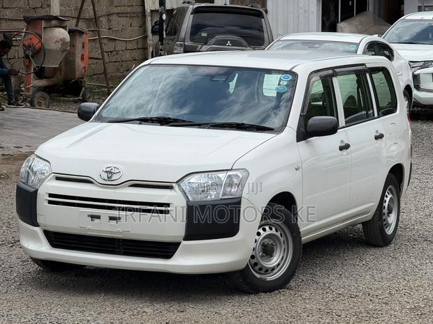 Toyota Probox 1.3 DX 2WD 2019 White