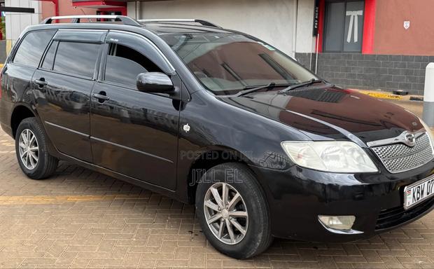 Toyota Corolla Fielder 2006 Black