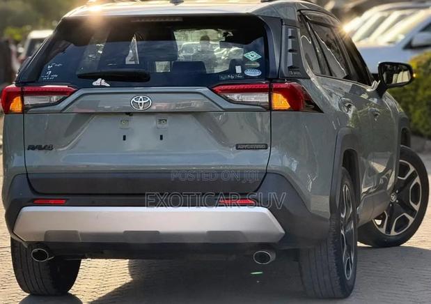 Toyota RAV4 Limited AWD 2019 Green