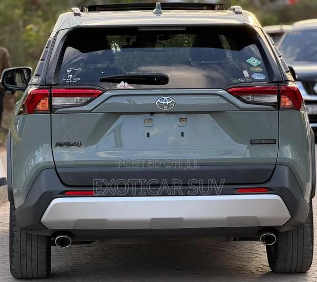 Toyota RAV4 Limited AWD 2019 Green
