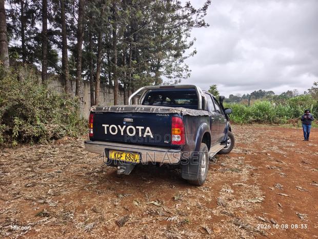 Toyota Hilux 3.0 D-4D Double Cab 2008 Blue