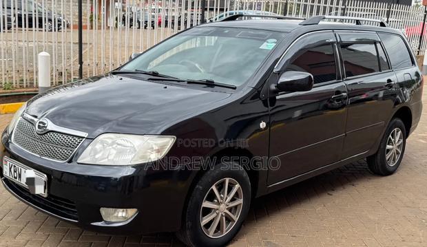 Toyota Corolla Fielder 2006 Black