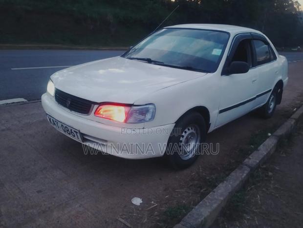 Toyota Corolla 1998 White