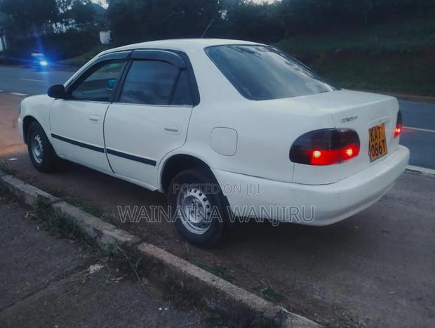 Toyota Corolla 1998 White