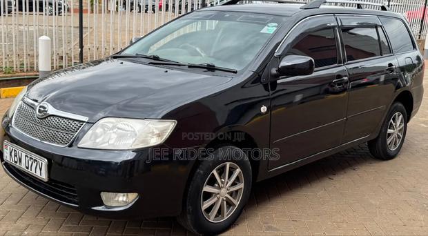 Toyota Corolla Fielder 2006 Matt Black