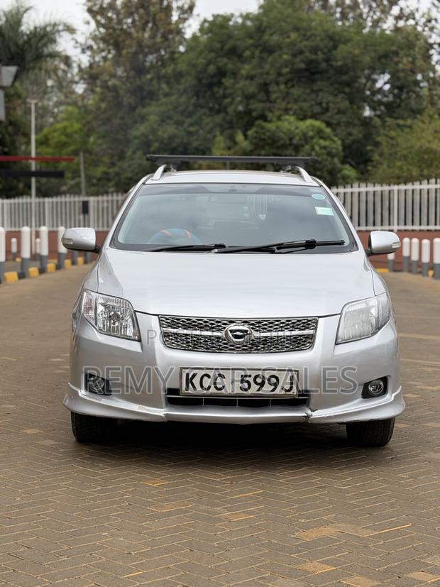 Toyota Corolla Fielder 2008 Silver