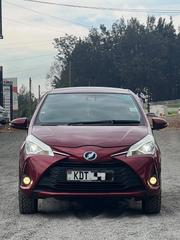 Toyota Vitz 2019 Maroon for sale