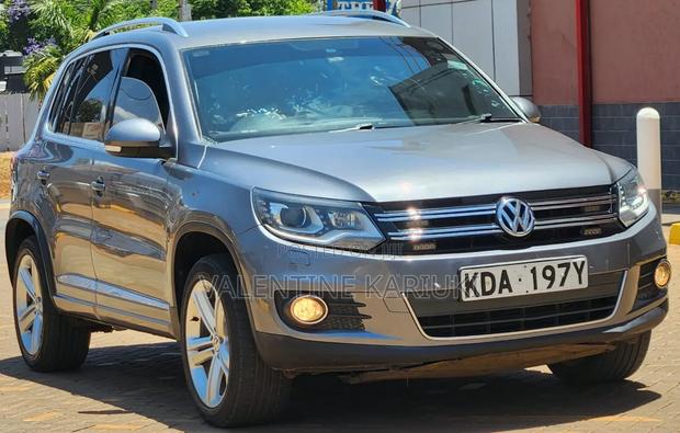 Volkswagen Tiguan 2015 Gray