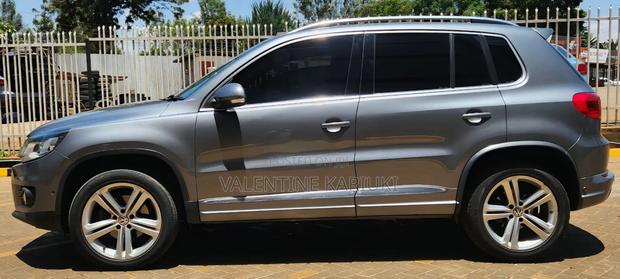 Volkswagen Tiguan 2015 Gray
