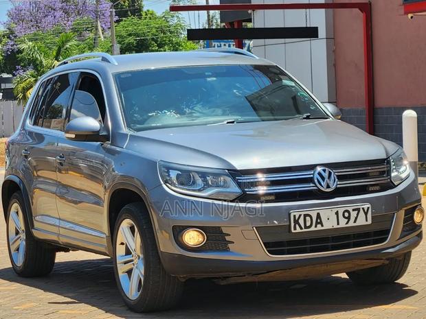 Volkswagen Tiguan 2015 Gray