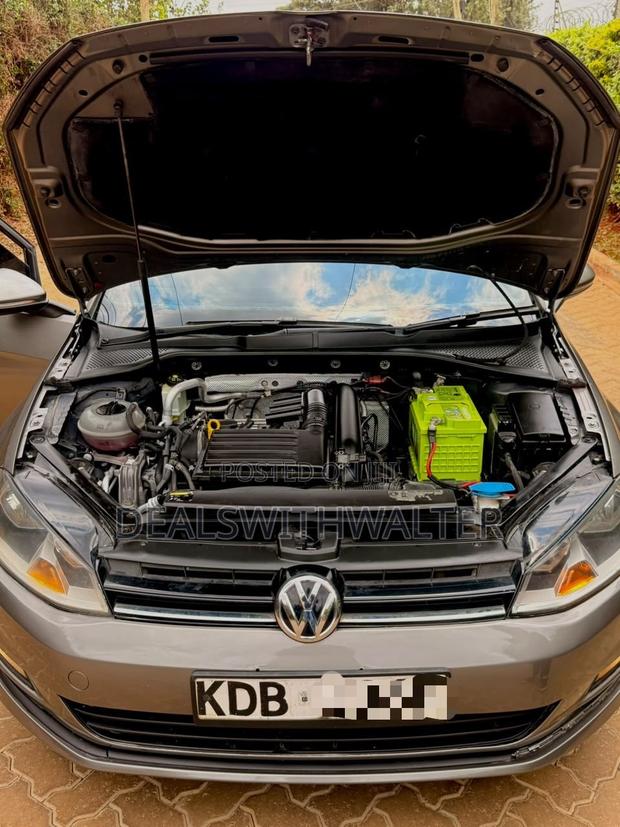 Volkswagen Golf 2014 Gray