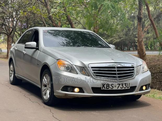 Mercedes-Benz E220 2010 Silver