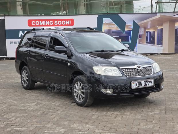 Toyota Corolla Fielder 2006 Black