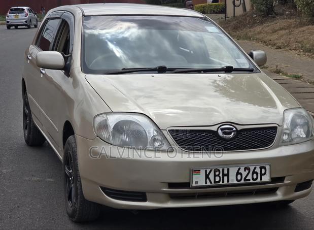 Toyota Allex 2004 Yellow