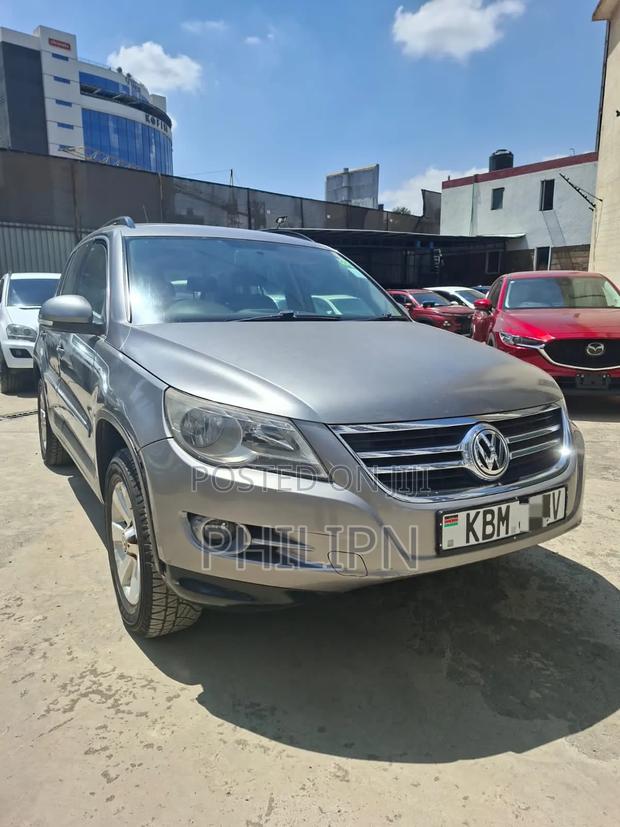 Volkswagen Tiguan 2009 Silver