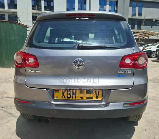 Volkswagen Tiguan 2009 Silver