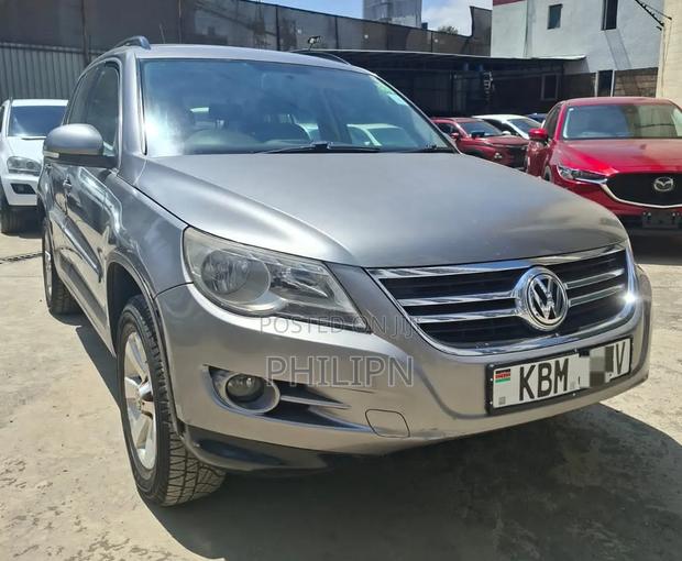 Volkswagen Tiguan 2009 Silver