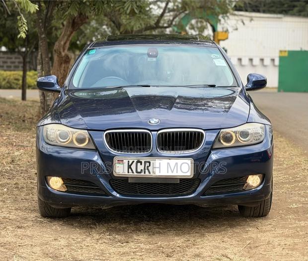 BMW 320i 2012 Blue