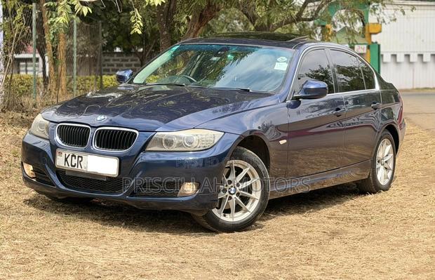 BMW 320i 2012 Blue