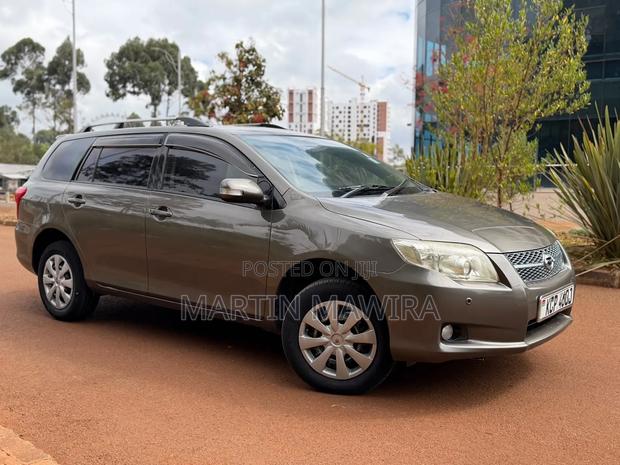 Toyota Corolla Fielder 2011 Gray