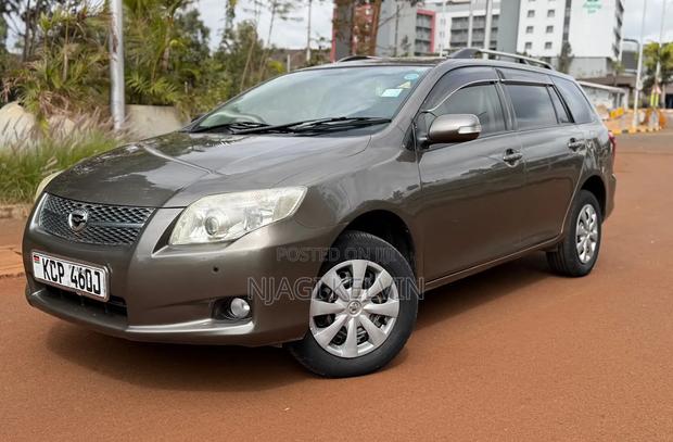 Toyota Corolla Fielder 2011 Brown