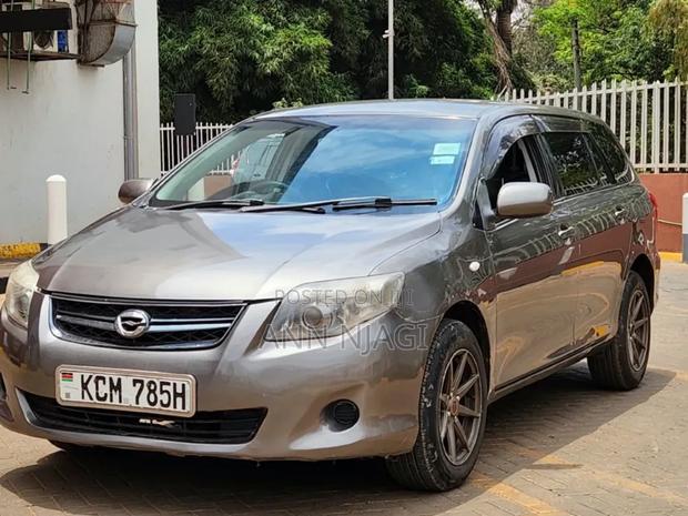 Toyota Corolla Fielder 2011 Gray