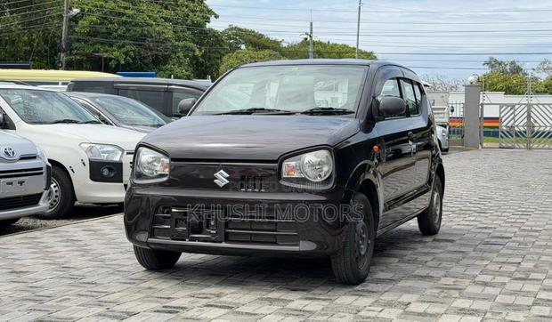 Suzuki Alto 2018 Brown