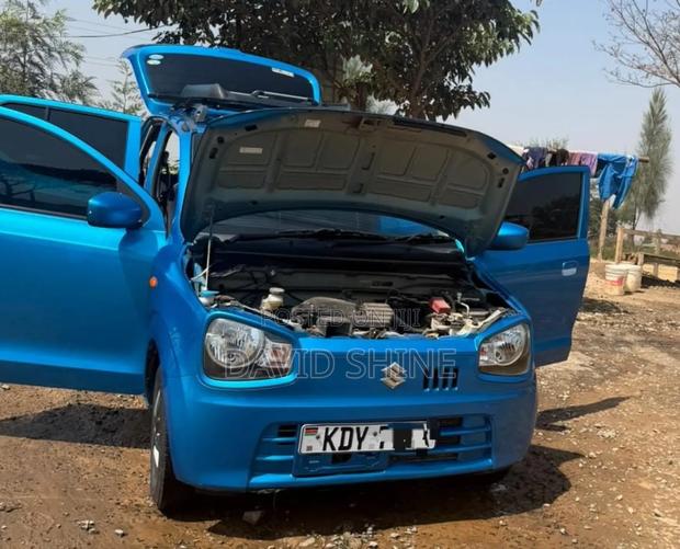 Suzuki Alto 2021 Blue