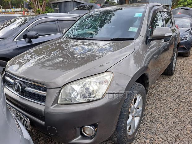 Toyota RAV4 2010 Brown