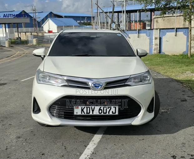 Toyota Axio 2019 Pearl