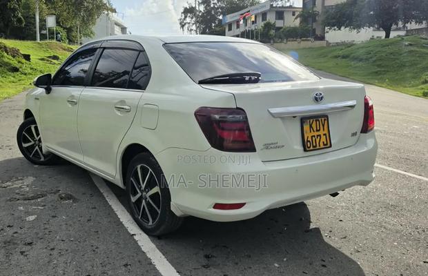Toyota Axio 2019 Pearl