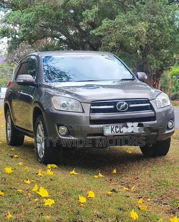 Toyota RAV4 2010 Gray