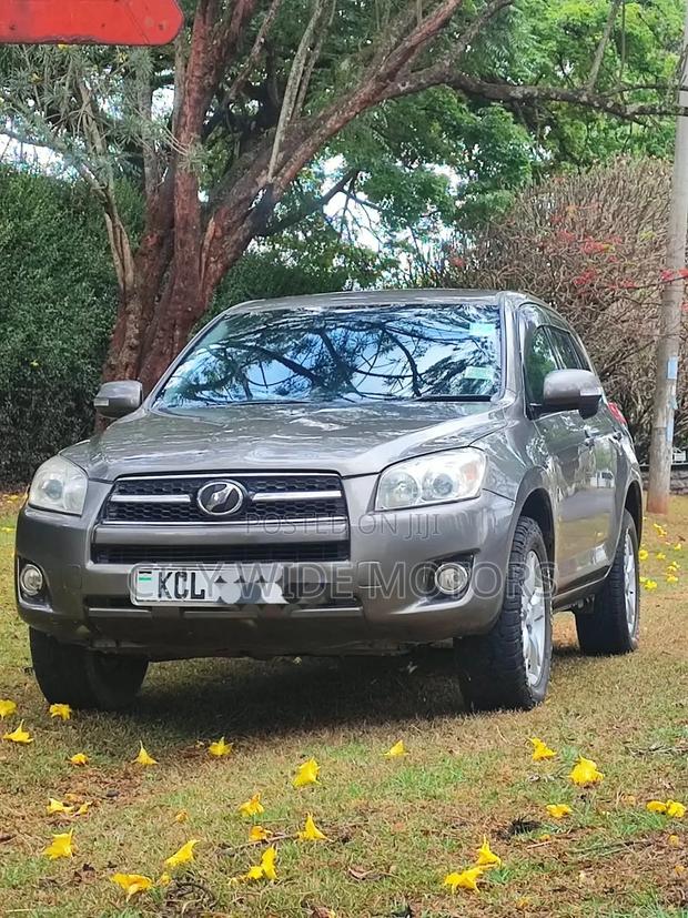 Toyota RAV4 2010 Gray
