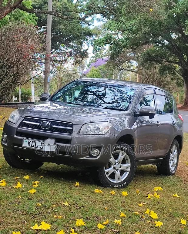Toyota RAV4 2010 Gray