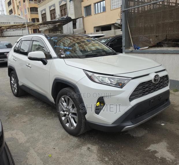 Toyota RAV4 Adventure 2019 Pearl