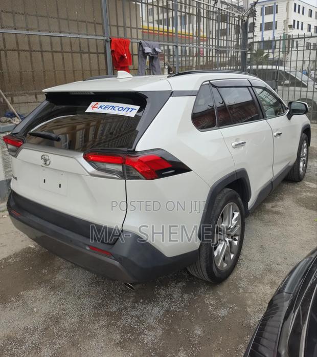 Toyota RAV4 Adventure 2019 Pearl