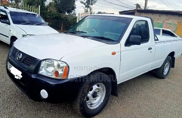 Nissan Hardbody 2003 White