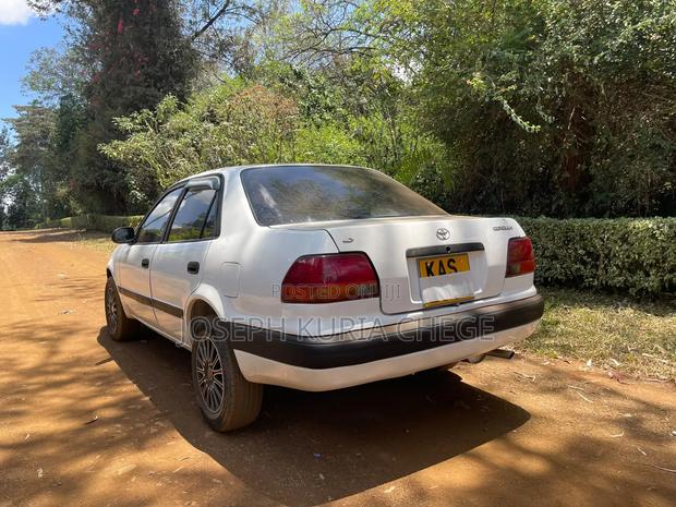 Toyota Corolla 1998 White