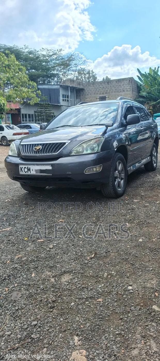 Toyota Harrier 2010 Gray