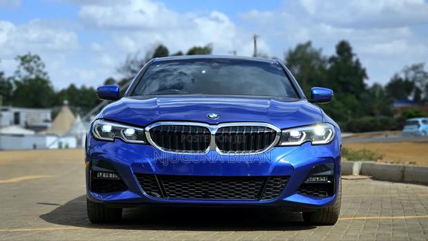 BMW 320i Sedan RWD 2019 Blue
