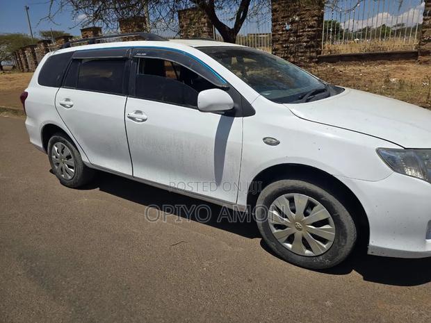 Toyota Corolla Fielder 2009 White