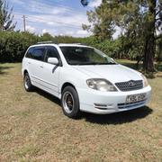 Toyota Corolla Fielder 2005 White for sale