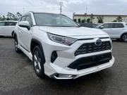 Toyota RAV4 Adventure 2019 White for sale